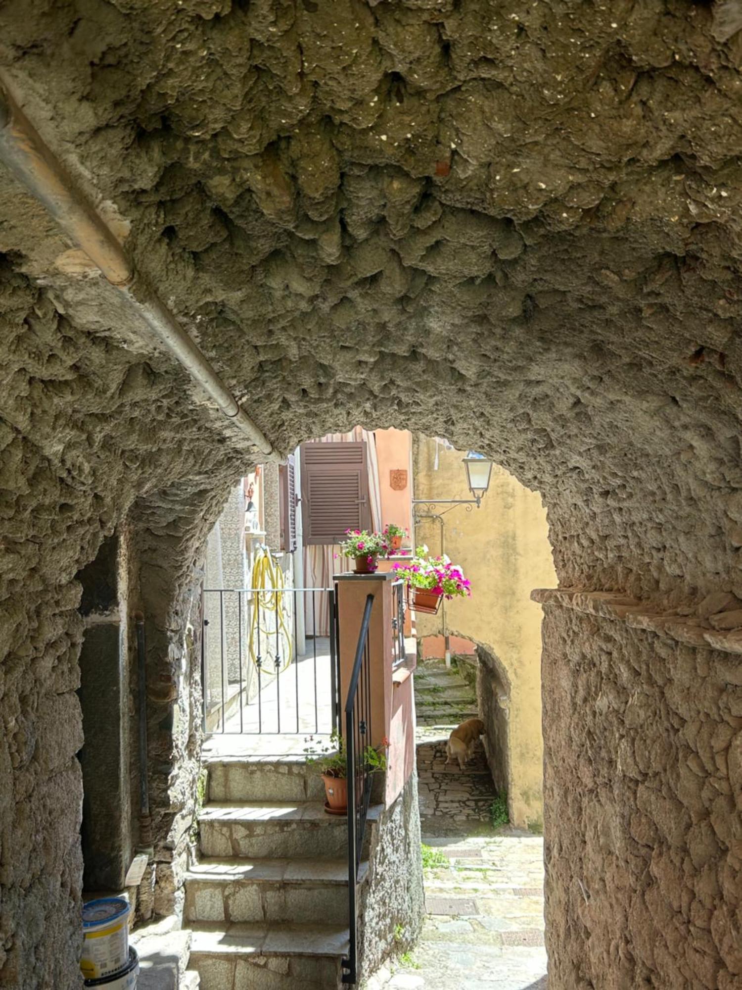 Ca De Igiu-Biassa-Cinque Terre Appartement Buitenkant foto